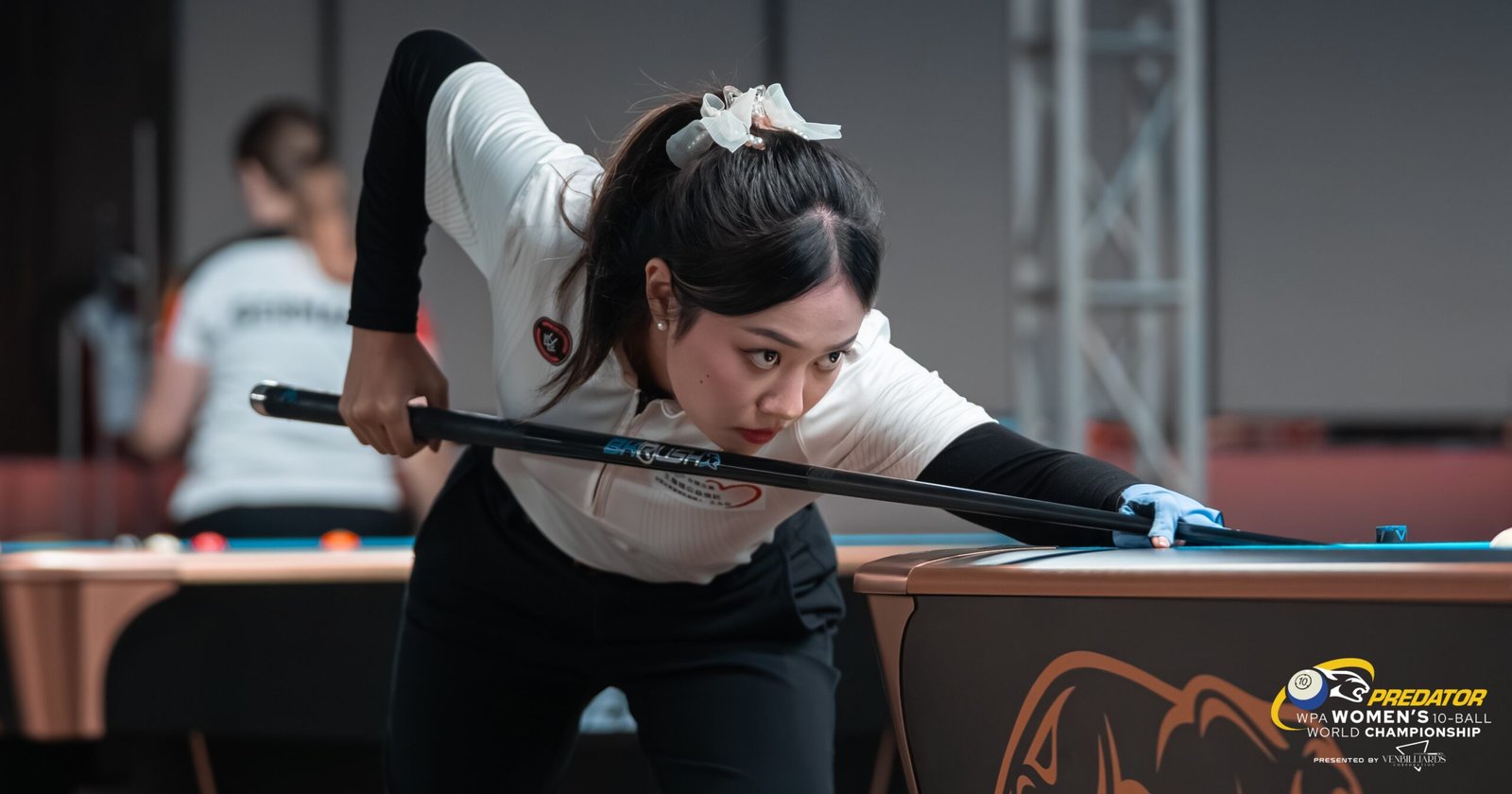 VenBilliards 5